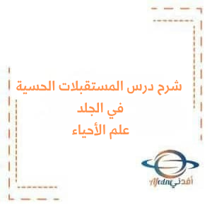 شرح درس المستقبلات الحسية في الجلد علم الأحياء البكالوريا العلمي شرح درس المستقبلات الحسية في الجلد علم الأحياء البكالوريا العلمي