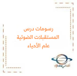 رسومات درس المستقبلات الضوئية2 في علم الأحياء البكالوريا العلمي رسومات درس المستقبلات الضوئية2 في علم الأحياء البكالوريا العلمي