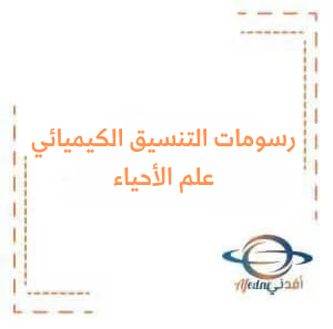 رسومات درس التنسيق الكيميائي عند النباتات في علم الأحياء البكالوريا رسومات درس التنسيق الكيميائي عند النباتات في علم الأحياء البكالوريا
