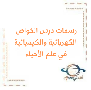 رسومات درس الظواهر الطبيعية في الخلايا في علم الأحياء البكالوريا رسومات درس الظواهر الطبيعية في الخلايا في علم الأحياء البكالوريا