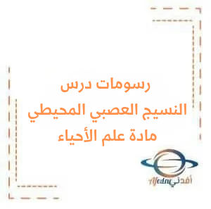 رسمات الجهاز العصبي المحيطي للبكالوريا علمي في مادة علم الأحياء رسمات الجهاز العصبي المحيطي للبكالوريا علمي في مادة علم الأحياء