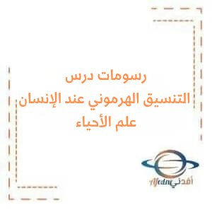 رسومات درس التنسيق الهرموني عند الإنسان في علم الأحياء البكالوريا العلمي رسومات درس التنسيق الهرموني عند الإنسان في علم الأحياء البكالوريا العلمي